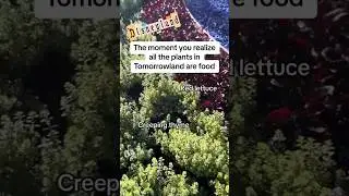 Edible plants at Disneyland?! Apparently it was Disney’s vision for the future, & I don’t disagree!