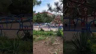 Повiтряна тривога. Як реагують собаки 