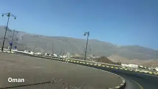 Oman dates farm