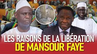 Li Waral Yoon Bayi Mansour Faye - L'erreur grave Bi députés Yi Deff : Affaire des fonds Covid-19