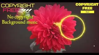 No Copyright Hindi Songs | New Nocopyright Hindi Song | Bollywood Hit Songs I Arijit Singh Songs
