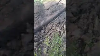 Первый не удачный выезд в поле