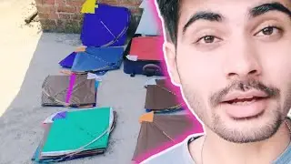 The World's Largest Kite: Breaking Records and Stunning Crowds!