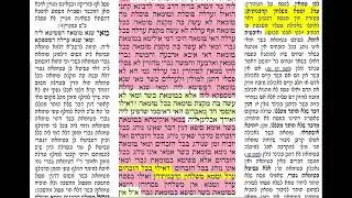 הדף היומי מסכת פסחים דף סב Daf yomi Pesachim daf 62 להצלחת יעל נבון בת אילנה