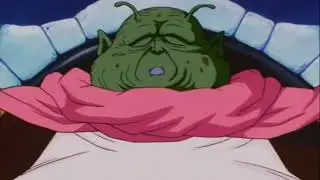 Party Pooper (Dragon Ball Z Abridged)