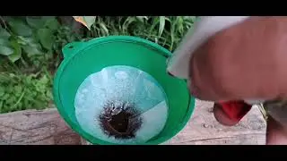 Алтын калойдтың тәсілі