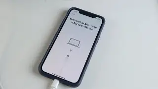 Downgrade from iOS 16 to iOS 15 WithOut Any Data Loss !!