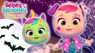 🎃🦄 HISTORIAS de HALLOWEEN 🐶🎃 BEBÉS LLORONES 💧 LÁGRIMAS MÁGICAS 💕 DIBUJOS para NIÑOS en ESPAÑOL