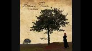 Birsen Tezer - Boşver