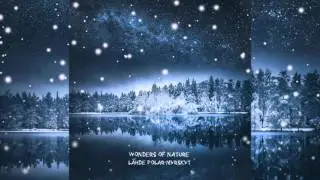 Wonders Of Nature - Echoes Of Transcendence (Lustre Cover)