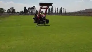 חיתוך הדשא של בלומפילד