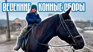 Весенние Конные Сборы 2023: Покорение Вершин Смелости и Дружбы