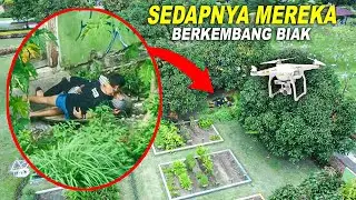 Ciduk Orang Pacaran Pakai Drone Ketauan Lagi Ena Enak