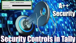 How to use Security Controls in Tally