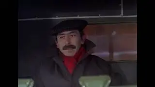 А эта кошка где работает?