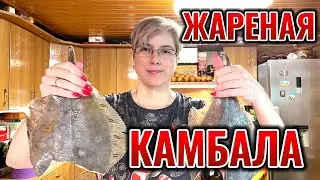 Жареная камбала