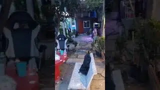 Дом не бедных тайцев и виснут мамоны)))