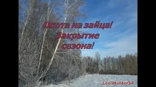 Охота на зайца.Закрытие сезона 2018-2019!!!!