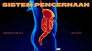 SISTEM PENCERNAAN MANUSIA : PROSES PENCERNAAN PADA TUBUH MANUSIA