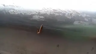 Pierna Poseido De Cucaracha Se Mueve Solo