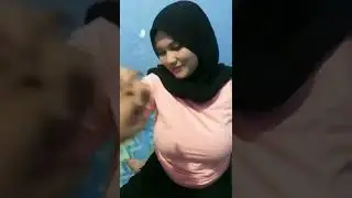 Tiktok viral jilbobs - Cewek pakai jilbab baju ketat