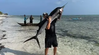 Fishing in Zanzibar, big sailfish! Рыбалка на Занзибаре, Рыба парусник