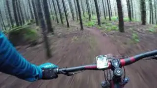 WhyPass Snake & Boneyard 11 2016