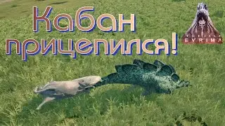 НОВЫЙ СПУТНИК СТЕГОЗАВРА! The Isle Evrima