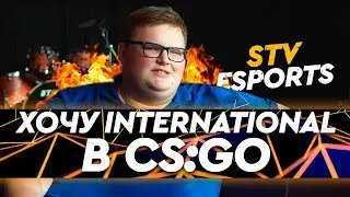 ПРО ИГРОКИ ОТВЕЧАЮТ | ЕСТЬ ЛИ ЧИТЫ НА МАЖОРЕ? | ПРИЗОВЫЕ В CS:GO?