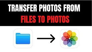 How to Transfer Photos from Files App to Photos App