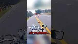 Biker SAVES Dog that was ABANDONED‼️🤯 (