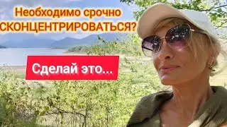 Восстановить концентрацию за минуту