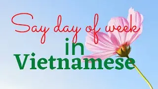 #Shorts Say day of week in Vietnamese.