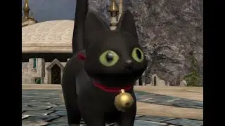 What does the Cat say?