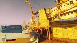 Shark gotta eat