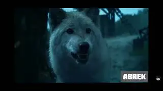 @abukhalima3261  Нашид Къодимун