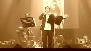 А.Домогаров 