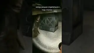 когда решил спрятаться под столом 