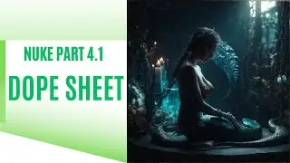 Nuke part 4.1 - Dope Sheet | Introduction
