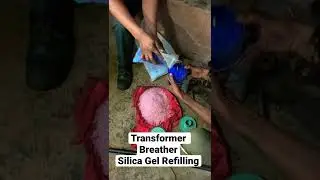 Electrical Transformer Maintenance Works.