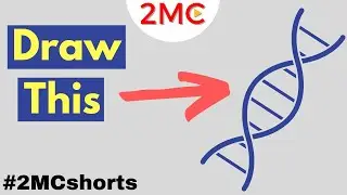 How to draw a DNA Strand in 3 Easy Steps | 
