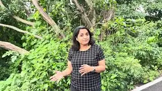 5 Positives in Budget 2024 Thru My Lens