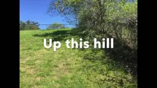 $1,000.00
