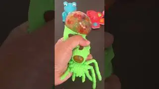 Awwwww 🕷️ #fidget #viraltoys #satisfying #shorts
