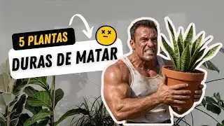 ¿Podrás con ellas? 5 Plantas 'Duras de Matar' para tu casa 🌿🔫