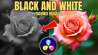 How To Make Video Black And White In Davinci Resolve