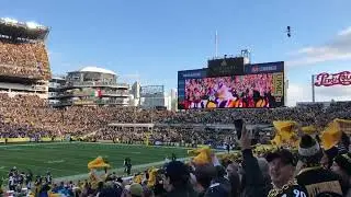 Steelers Renegade vs Colts