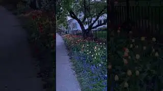 Немного красоты вам в ленту. 😊