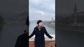 Что делать если поезда в Германии бастуют, а надо срочно ехать в аэропорт #германия #учебазарубежом