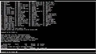 LVM extend